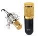 Professionele studio condenser microfoon met metalen shockmount