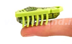 HEXBUG robots zijn een hype onder basisscholieren in de VS HEXBUG robots zijn een hype onder basisscholieren in de VS